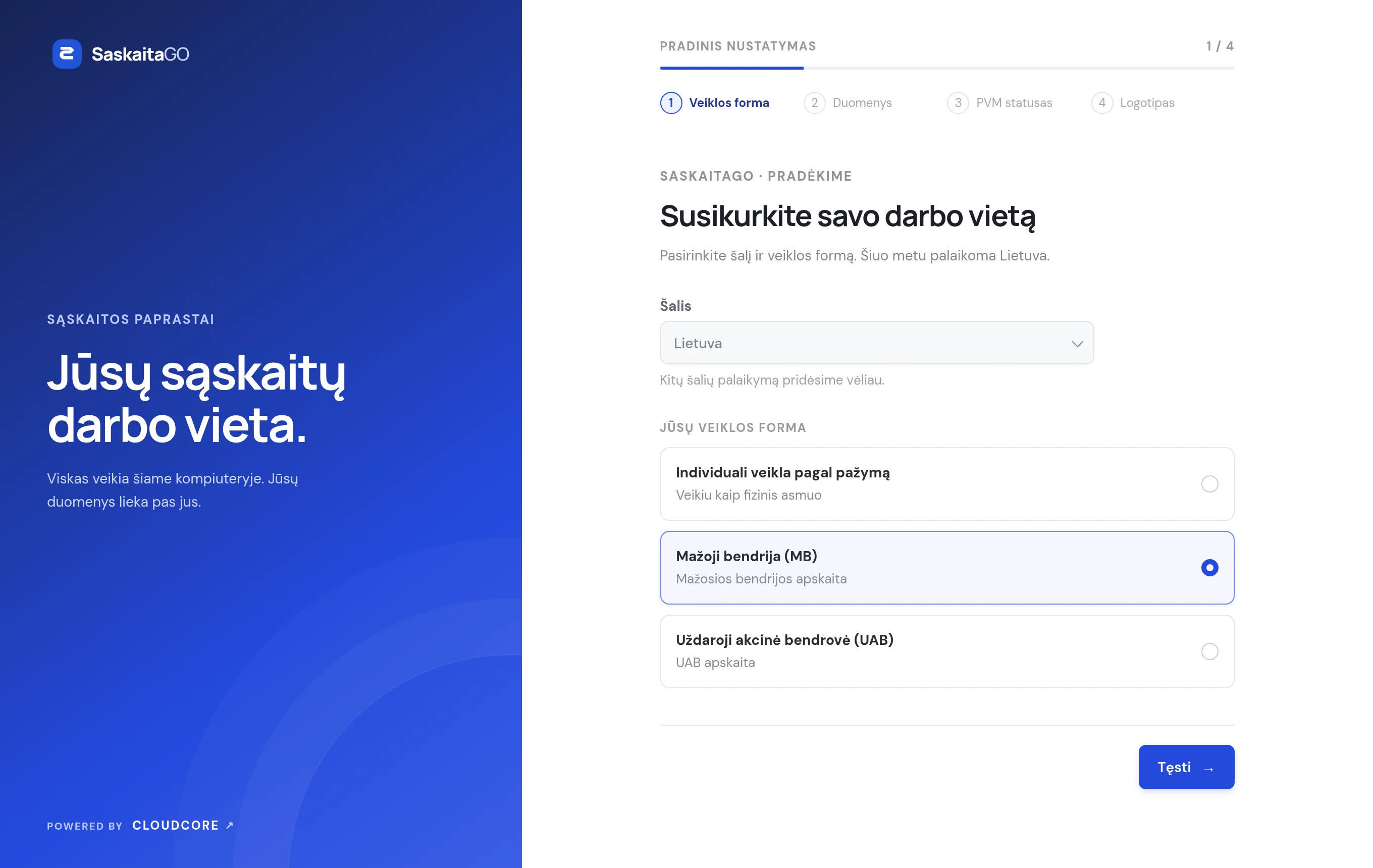 Pradinio nustatymo pirmas žingsnis: veiklos formos pasirinkimas